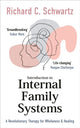 Introduction to Internal Family Systems, A Revolutionary Therapy for Wholeness & Healing 9781785045134 Richard Schwartz