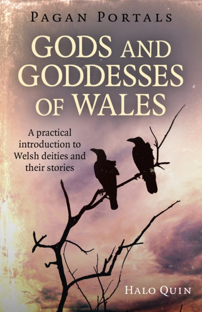 Book cover of: Pagan Portals - Gods and Goddesses of Wales. By: Halo Quin