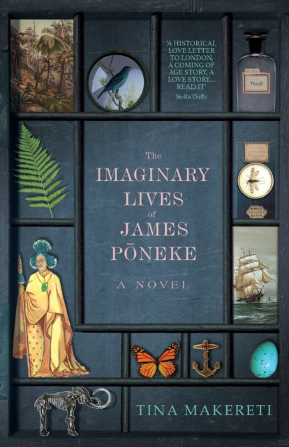 Book cover of: Imaginary Lives of James Poneke. By: Tina Makereti