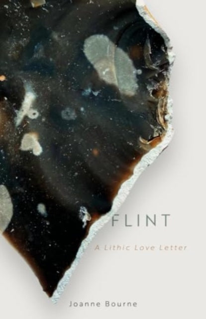 Book cover of: Flint. By: BOURNE