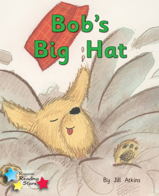 Book cover of: Bob and the Hat