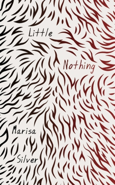 Book cover of: Little Nothing. By: Marisa Silver