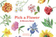 Pick a Flower, A Memory Game 9781786272256 Anna Day