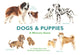 Dogs & Puppies, A Memory Game 9781786272737 Marcel George