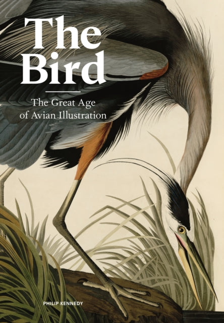 Bird, The Great Age of Avian Illustration 9781786277312 Philip Kennedy