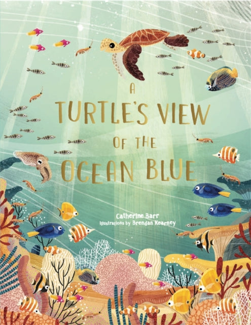 Book cover of: Turtle's View of the Ocean Blue. By: Catherine Barr