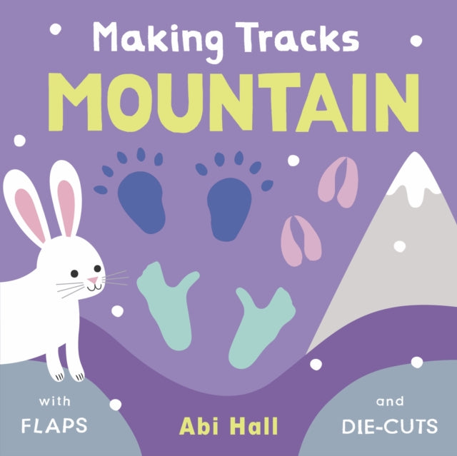 Book cover of: Mountain. By: Roxana De Rond