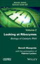 Book cover of: Looking at Ribozymes. By: Benoît Masquida