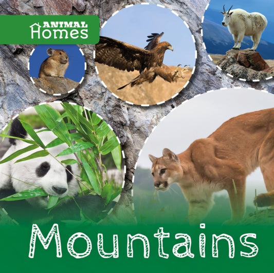 Book cover of: Mountains. By: Holly Duhig