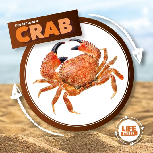 Book cover of: Crab. By: Kirsty Holmes