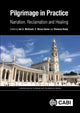Book cover of: Pilgrimage in Practice. By: Ian S. McIntosh