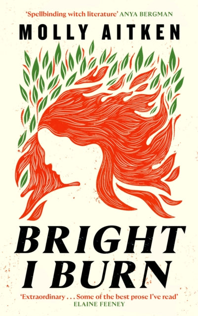 Bright I Burn 9781786898388 Molly Aitken