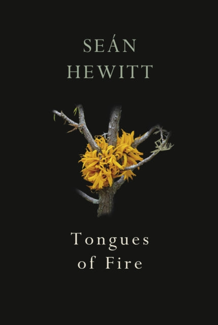 Tongues of Fire 9781787332263 Seán Hewitt