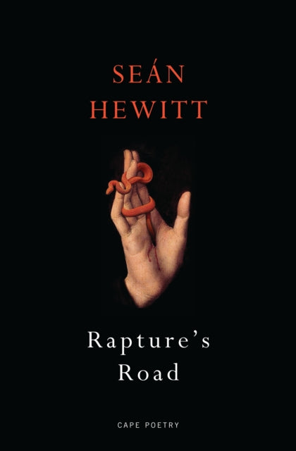 Rapture's Road, From the author of All Down Darkness Wide 9781787334274 Seán Hewitt