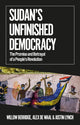 Book cover of: Sudan's Unfinished Democracy. By: Willow Berridge
