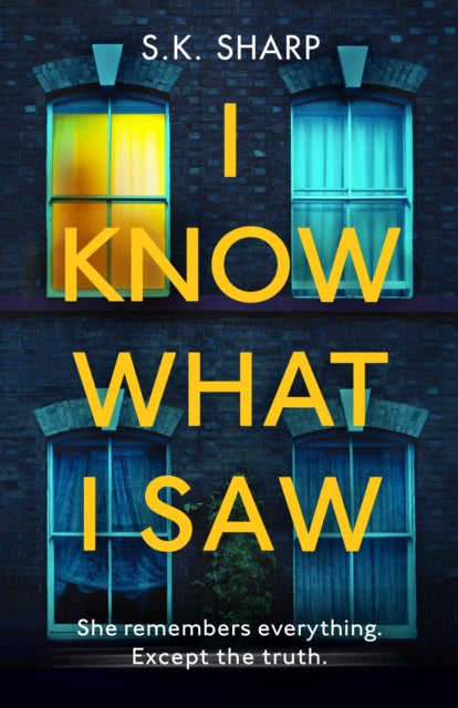 Book cover of: I Know What I Saw