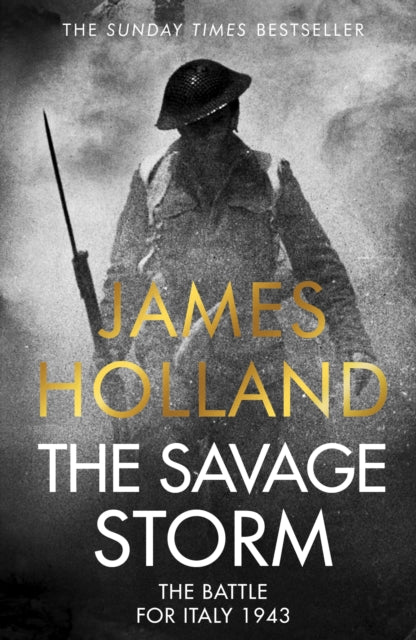 Book cover of: Savage Storm. By: James Holland