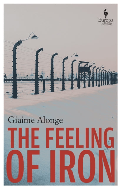Book cover of: Feeling of Iron