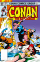 Conan The Barbarian: The Original Comics Omnibus Vol.6 9781787744769 Michael Fleisher