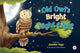 Book cover of: Old Owl's Bright Night Light