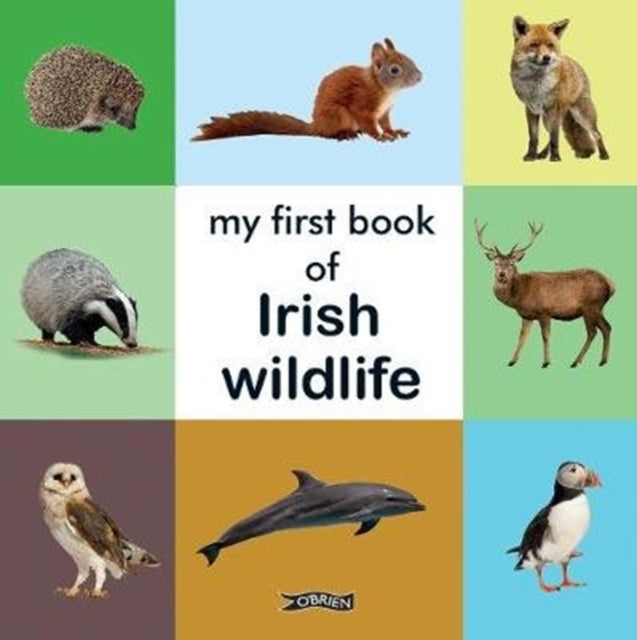 Book cover of: My First Book of Irish Wildlife