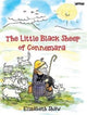 Book cover of: Little Black Sheep of Connemara. By: Elizabeth Shaw
