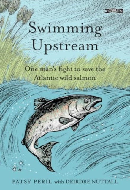 Book cover of: Swimming Upstream. By: Patsy Peril