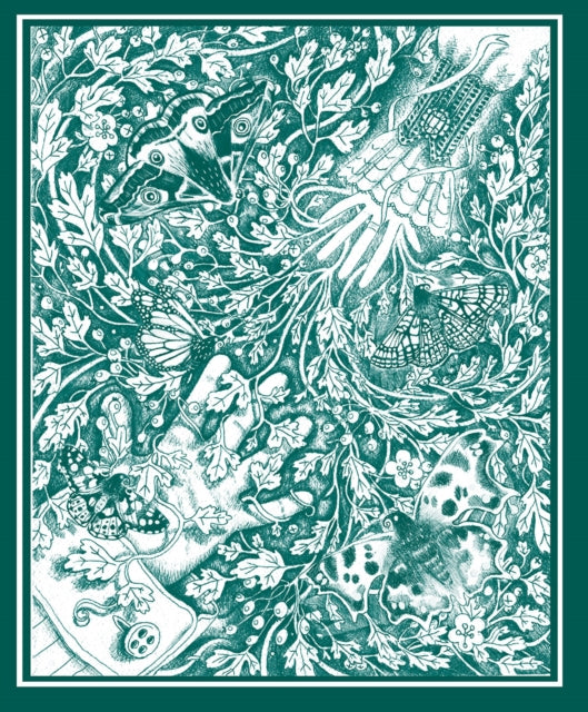 Book cover of: Stolen Child