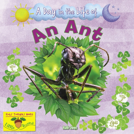Book cover of: Ant. By: Ruth Owen