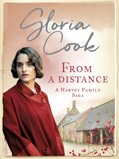 Book cover of: From A Distance