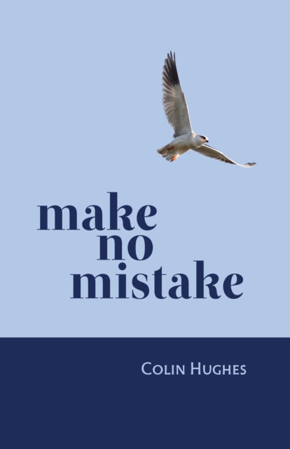 Book cover of: Make No Mistake