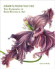 Book cover of: Drawn From Nature. By: Patricia Butler
