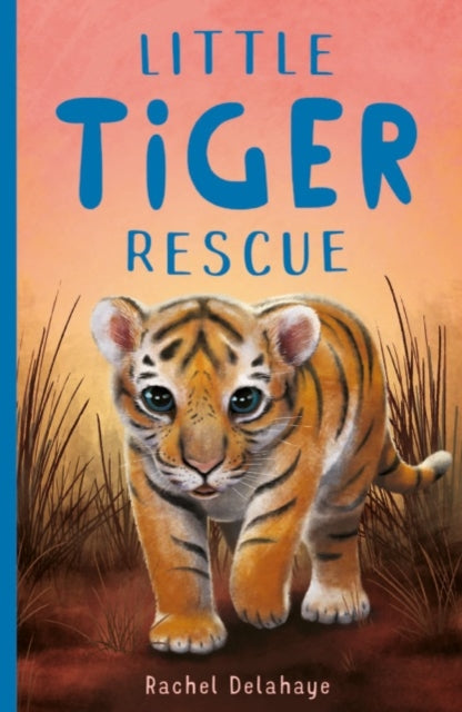 Book cover of: Little Tiger Rescue. By: Rachel Delahaye