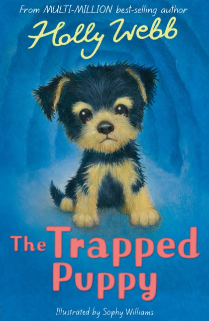 Book cover of: The Trapped Puppy. By: Holly Webb
