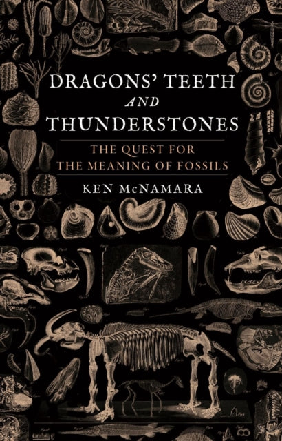 Book cover of: Dragons’ Teeth and Thunderstones. By: Kenneth J. Mcnamara