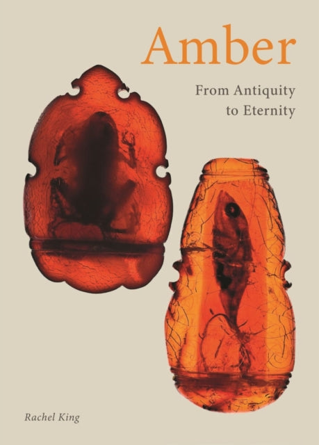 Book cover of: Amber. By: Rachel King