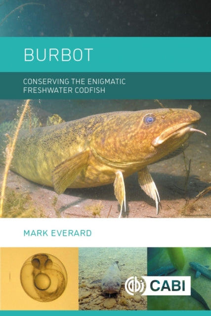 Book cover of: Burbot. By: Mark Everard
