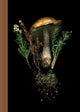 Book cover of: Deep Dark Forest Mushroom Journal. By: Julya Hajnoczky