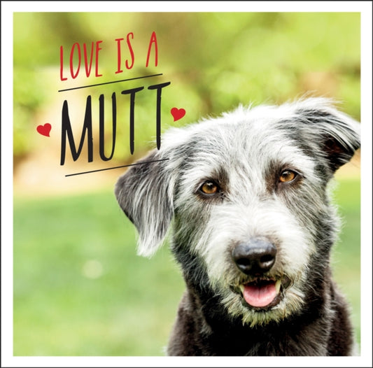 Book cover of: Love is a Mutt. By: Charlie Ellis