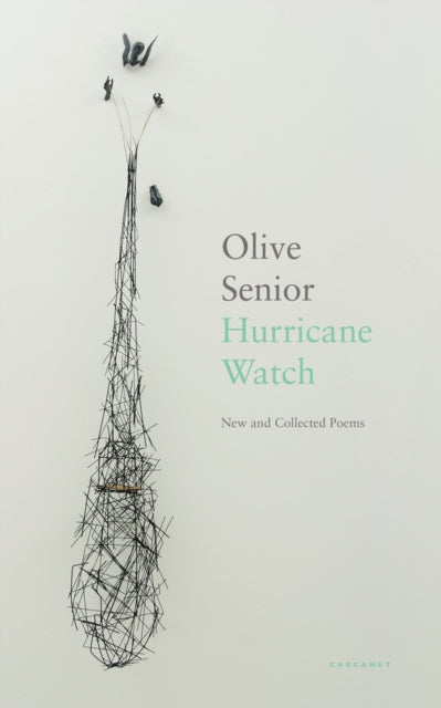 Book cover of: Hurricane Watch. By: Olive Senior
