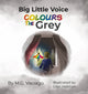 Book cover of: Big Little Voice. By: M. G. Vaciago