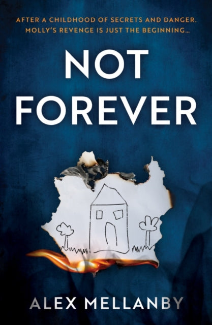 Book cover of: Not Forever. By: Alex Mellanby