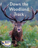 Book cover of: Down the Woodland Track. By: Cath Jones