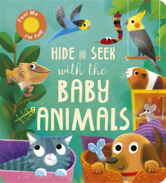 Book cover of: Hide and Seek with the Baby Animals. By: Molly Littleboy