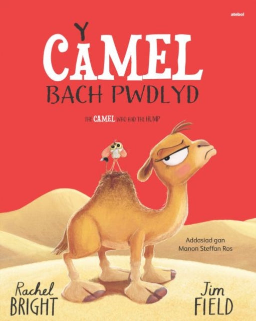 Book cover of: Y Camel Bach Pwdlyd / The Camel who had the hump