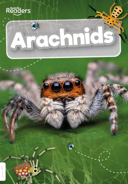 Book cover of: Arachnids. By: Joanna Brundle; Gareth Liddington