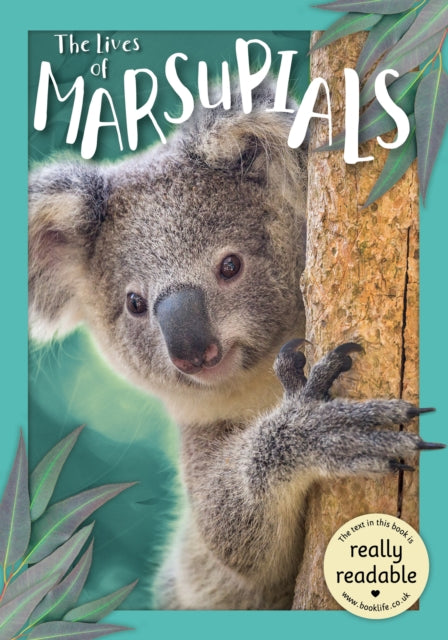 Book cover of: Lives of Marsupials. By: Madeline Tyler; Danielle Webster-Jones