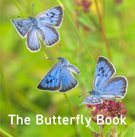 Nature Book Series: The Butterfly Book 9781802586541 Jane Russ