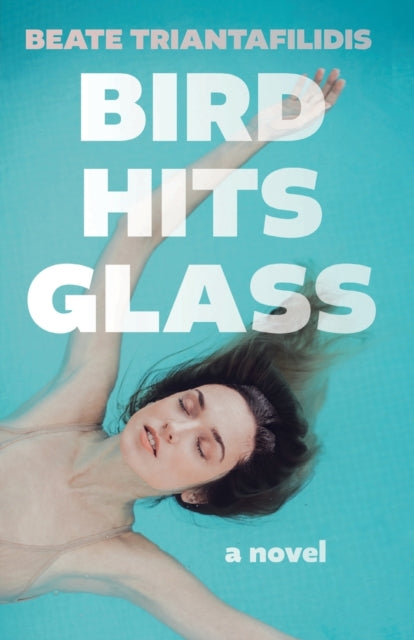 Book cover of: Bird Hits Glass. By: Beate Triantafilidis