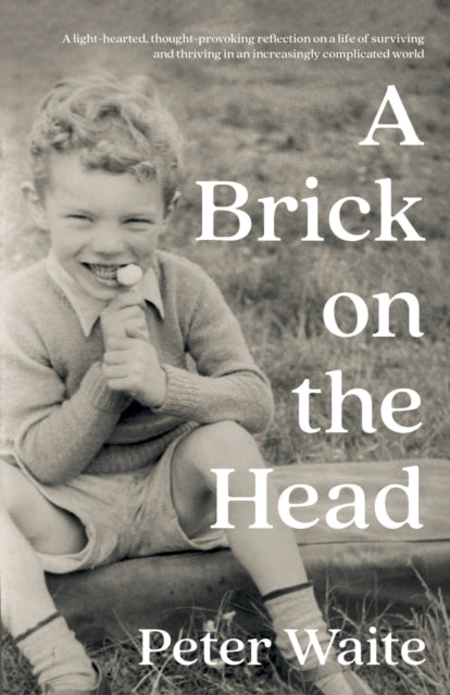 Book cover of: Brick on the Head. By: Peter Waite